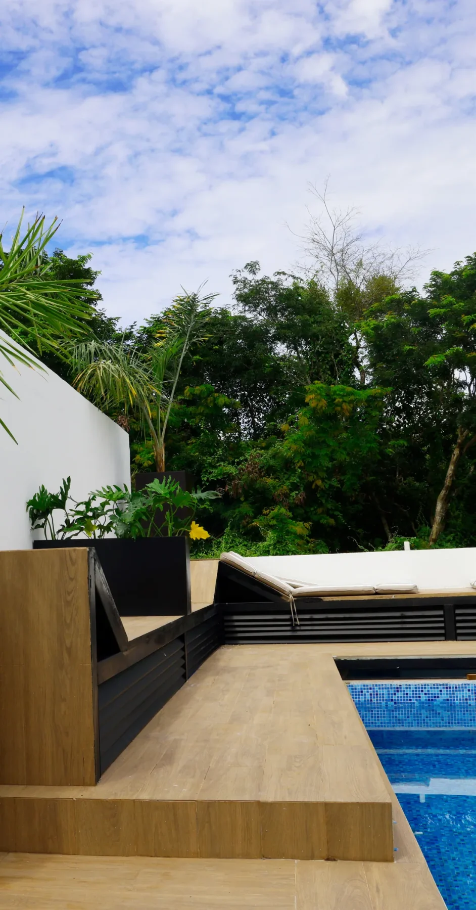 Terraza con alberca y jardinera